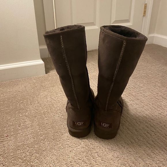 Tall chocolate Uggs size 7 - Picture 4 of 8
